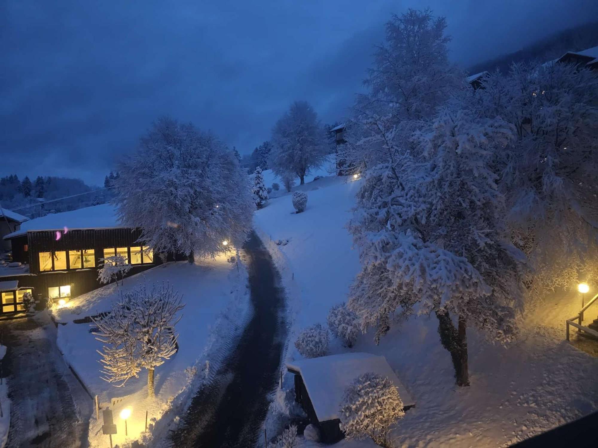 Sonnen-Juwel - Hallenbad-Sauna-2 Getrennte Schlafbereiche-Direkt An Der Skipiste Missen-Wilhams Eksteriør bilde